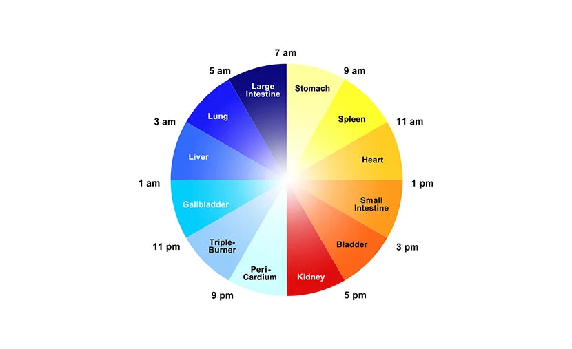 The TCM Body Clock: Your 24-Hour Energy Cycle