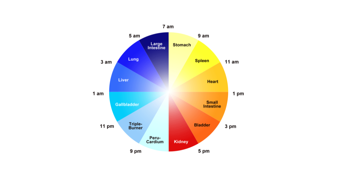 The TCM Body Clock: Your 24-Hour Energy Cycle