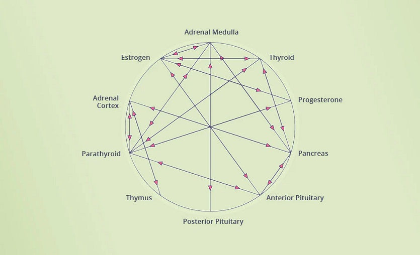You cannot balance your hormones with hormones!