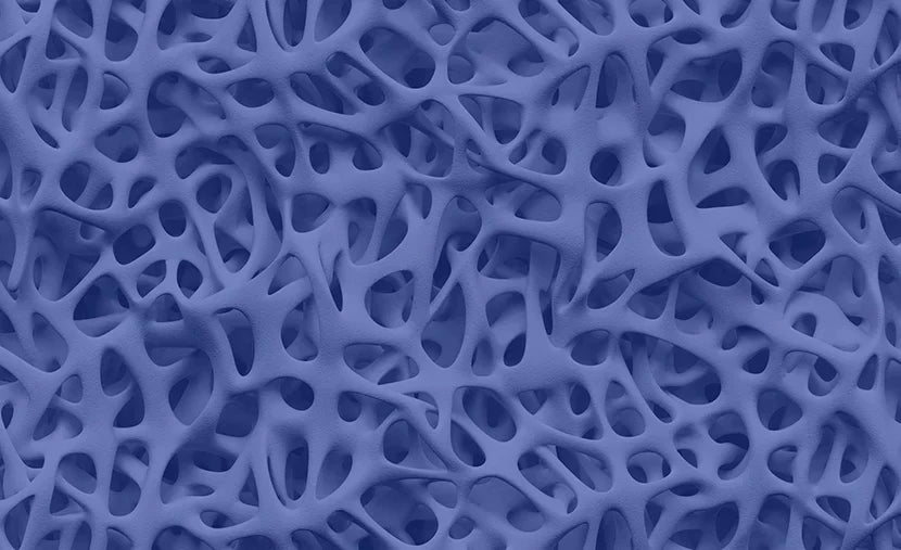 Post-Menopause Bone Health: Why Weight Training (and Collagen) Matter More Than You Think