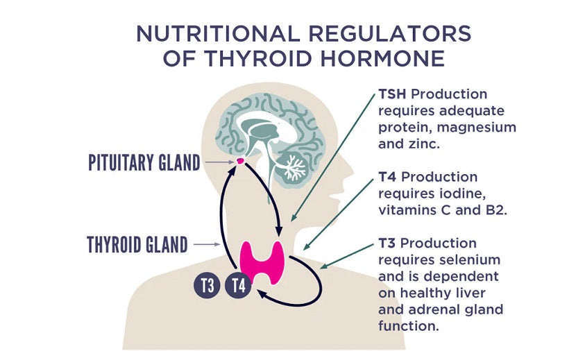 is glutathione safe for thyroid patients 10 Tips for Better Thyroid Health