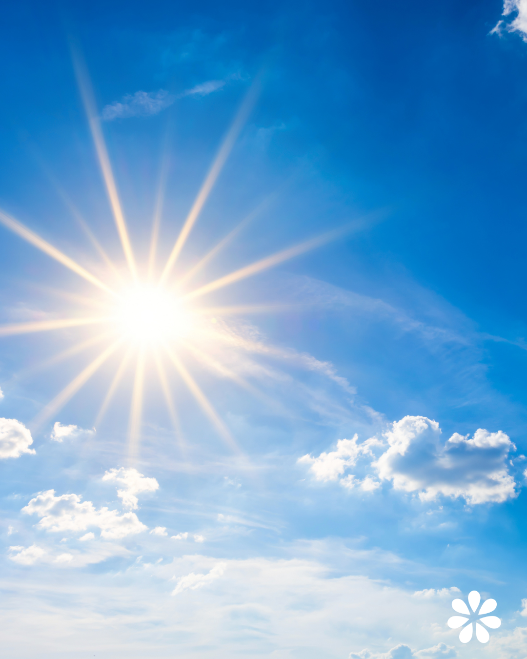 Vitamin D and Hormones: What Every Parent Should Know About Sunlight, Puberty and Wellbeing