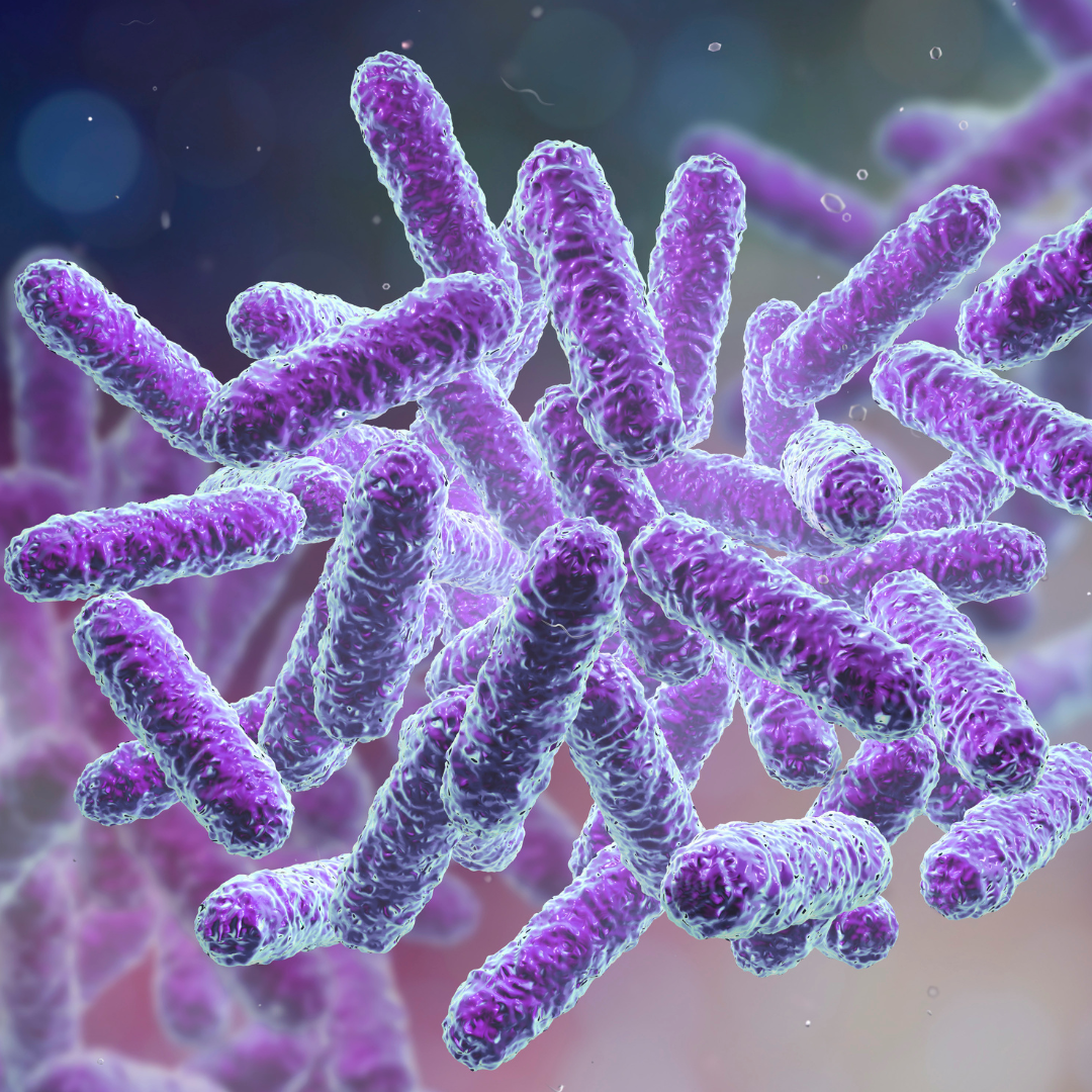 The Vaginal Microbiome