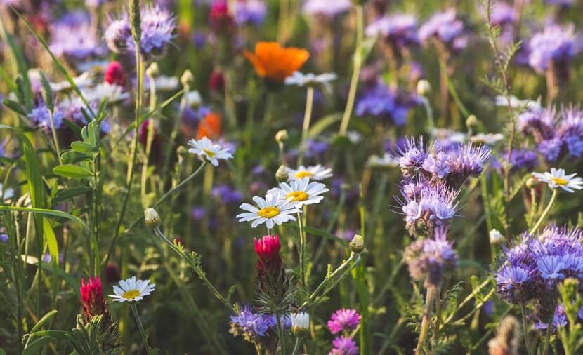 Foods That Help You Sleep