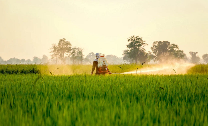 Environmental Toxins & Endocrine Imbalances