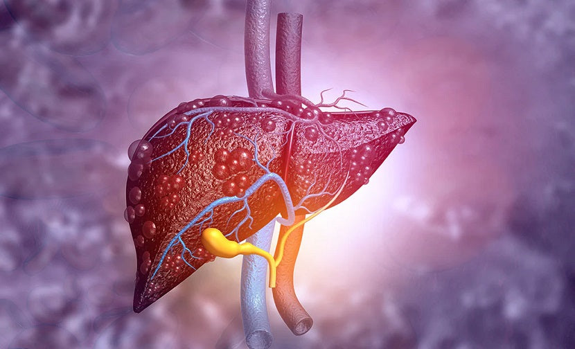 Waking at 3 am? It Could Be Your Liver