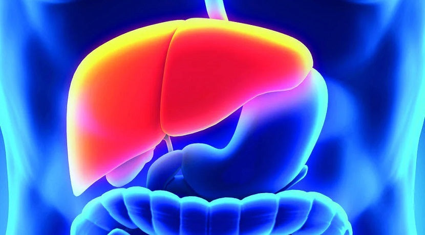 How to safely detoxify