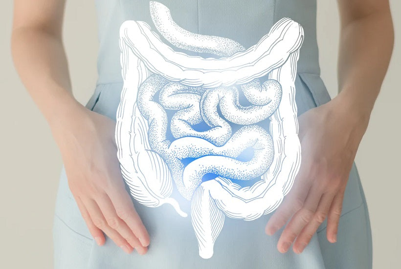 How To Improve Your Metabolism