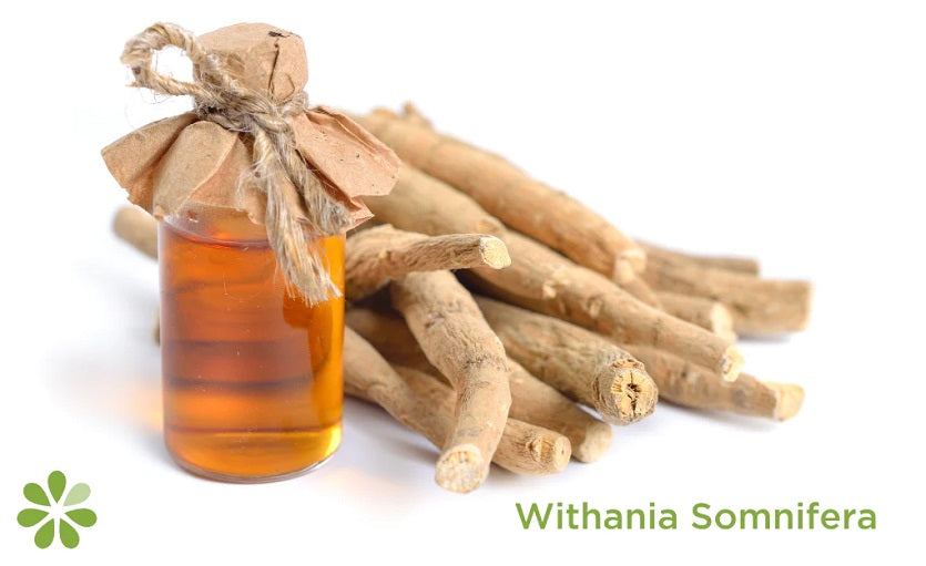 Benefits of Withania Somnifera