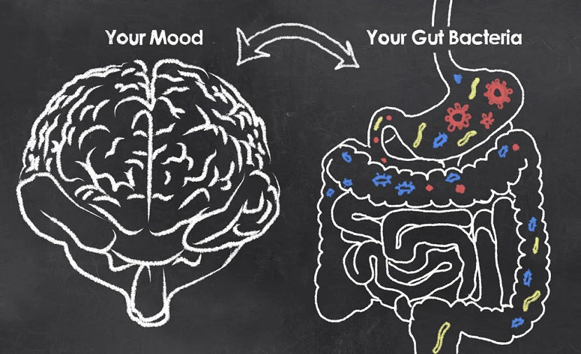 The Gut-Brain Axis: How Food Affects Mood