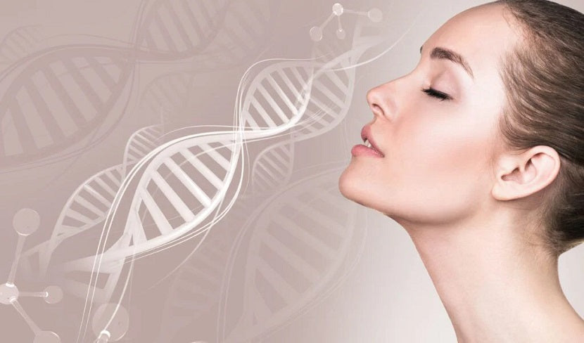 Does Stress Break Down Collagen Production?