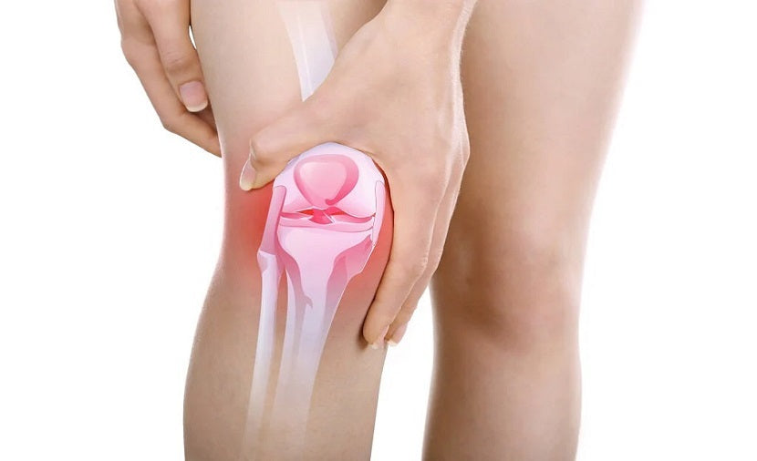 Is Collagen Good For Bone Health?