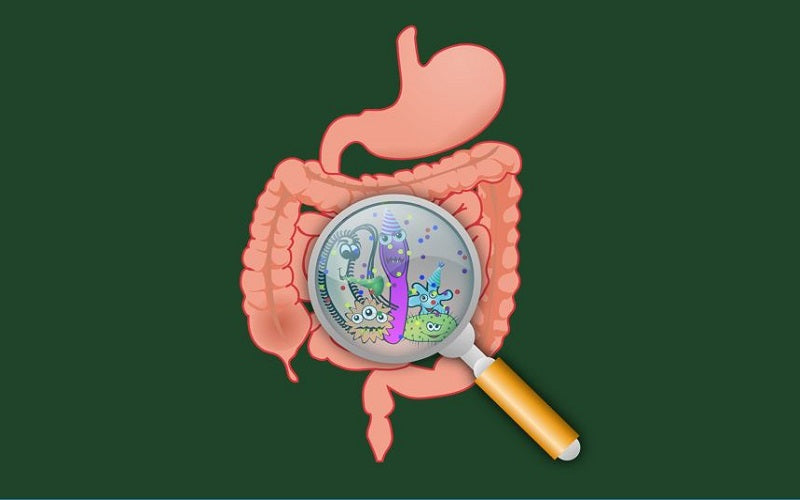 Is poor gut health preventing you from achieving a happy weight?
