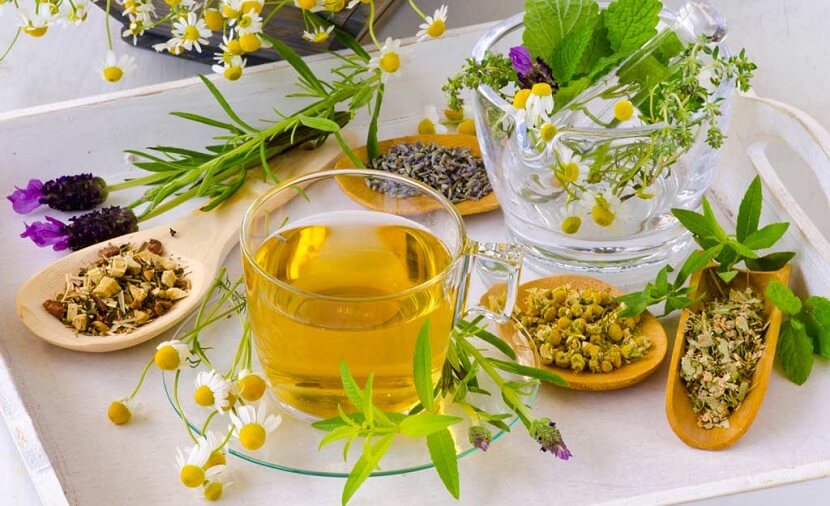 Top 10 Herbs & Supplements for Endometriosis