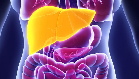What if your symptoms are about clearing hormones, not just making them?