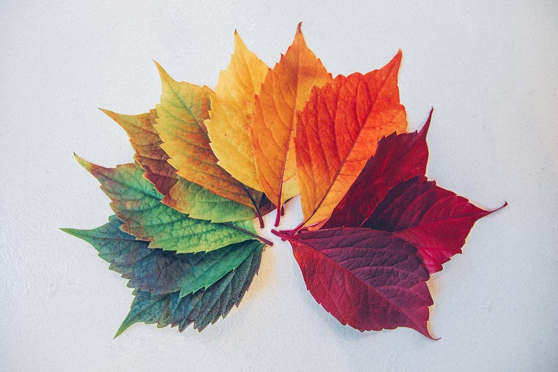 The Four Seasons & Your Menstrual Cycle