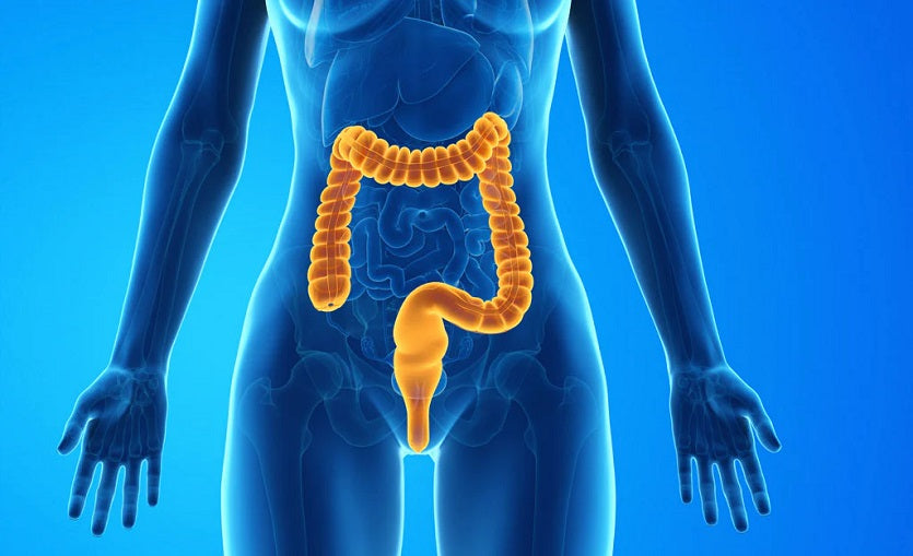 How Digestion Affects Your Hormones