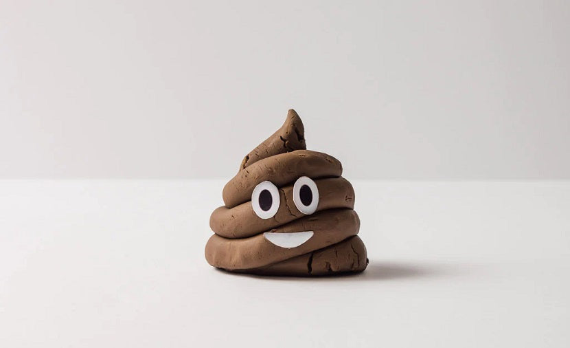 Understanding Your Poo