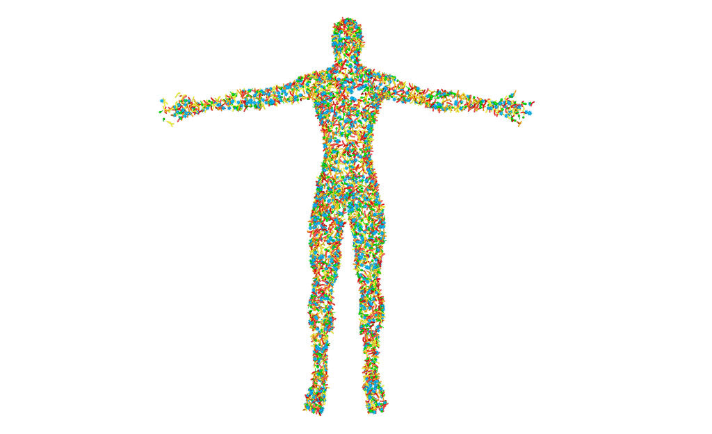 The Skin Microbiome