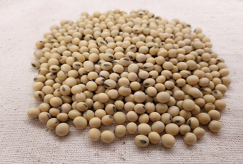 Fermented vs. Unfermented Soy